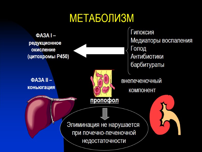 МЕТАБОЛИЗМ       ФАЗА II – коньюгация   